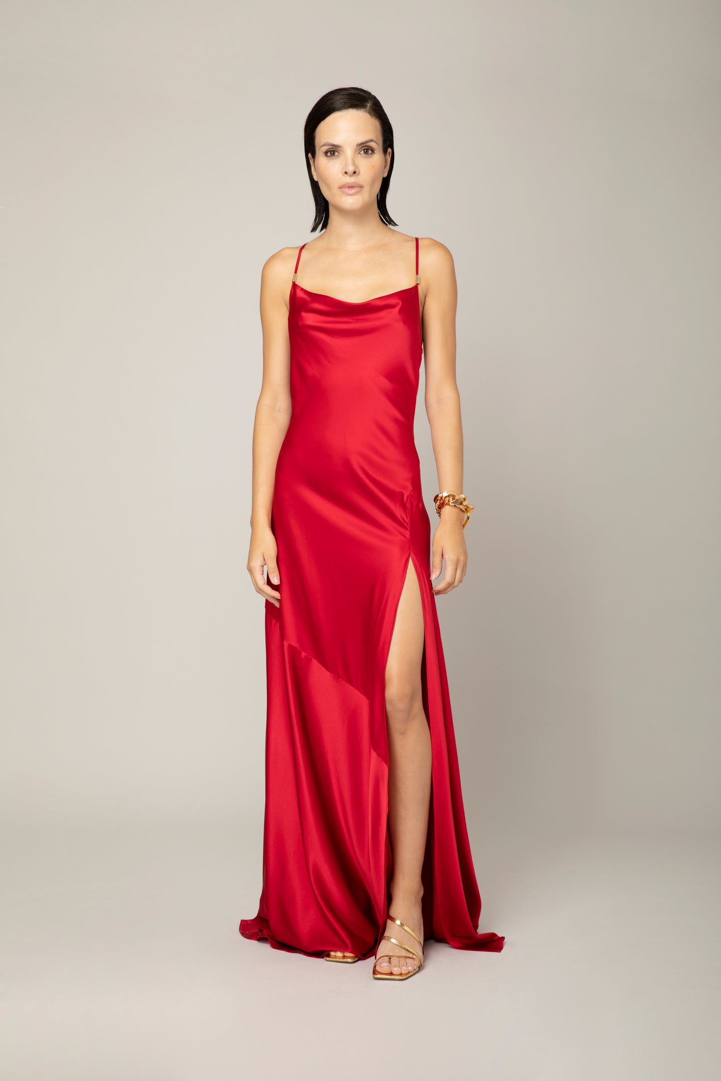 GABRIELLE DRESS